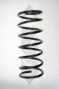 SPIDAN 48080 Coil Spring
